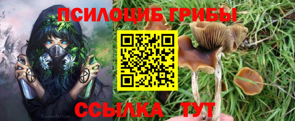 Буйнакск  Галлюциногенные грибы MAGIC MUSHROOMS  Вход с VPN  Галлюциногенные грибы прущие грибы 