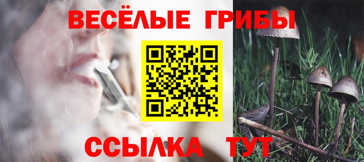 Галлюциногенные грибы MAGIC MUSHROOMS Буйнакск
